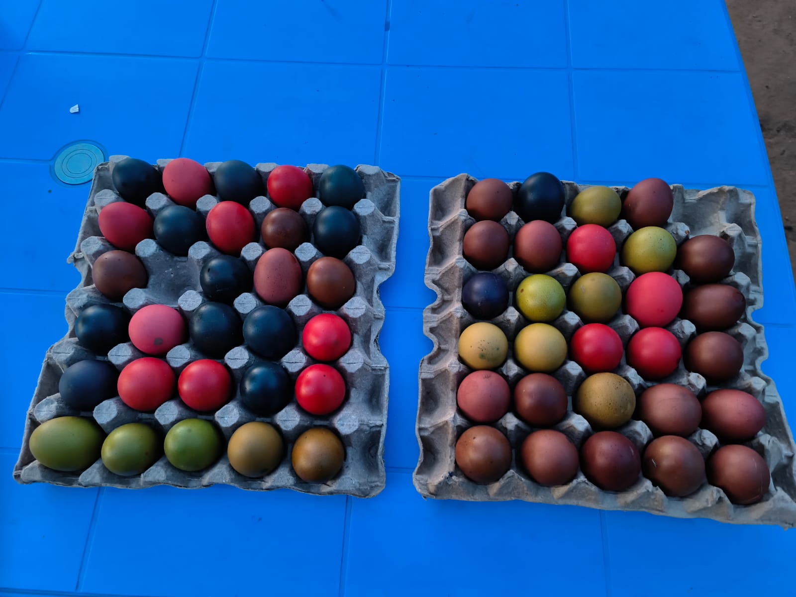 Easter eggs colouring activity done by The children